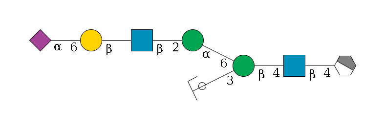 b1D-GlcNAc,p/#acleavage_1_4--4b1D-GlcNAc,p--4b1D-Man,p(--3a1D-Man,p/#ycleavage)--6a1D-Man,p--2b1D-GlcNAc,p--?b1D-Gal,p--6a2D-NeuAc,p$MONO,Und,-2H,0,redEnd