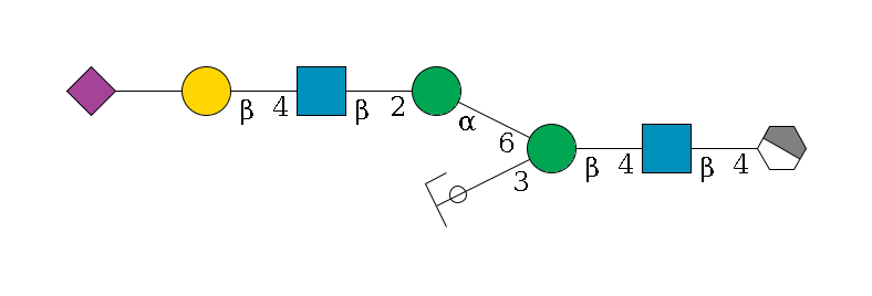 b1D-GlcNAc,p/#acleavage_1_4--4b1D-GlcNAc,p--4b1D-Man,p(--3a1D-Man,p/#ycleavage)--6a1D-Man,p--2b1D-GlcNAc,p--4b1D-Gal,p--??2D-NeuAc,p$MONO,Und,-2H,0,redEnd