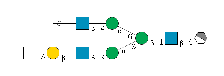b1D-GlcNAc,p/#acleavage_1_4--4b1D-GlcNAc,p--4b1D-Man,p(--3a1D-Man,p--2b1D-GlcNAc,p--?b1D-Gal,p--3a2D-NeuAc,p/#zcleavage)--6a1D-Man,p--2b1D-GlcNAc,p--?b1D-Gal,p/#ycleavage$MONO,Und,-H,0,redEnd