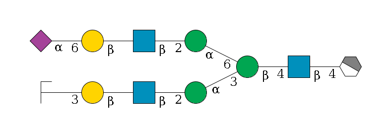 b1D-GlcNAc,p/#acleavage_1_4--4b1D-GlcNAc,p--4b1D-Man,p(--3a1D-Man,p--2b1D-GlcNAc,p--?b1D-Gal,p--3a2D-NeuAc,p/#zcleavage)--6a1D-Man,p--2b1D-GlcNAc,p--?b1D-Gal,p--6a2D-NeuAc,p$MONO,Und,-2H,0,redEnd