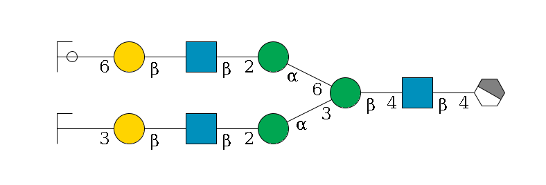 b1D-GlcNAc,p/#acleavage_1_4--4b1D-GlcNAc,p--4b1D-Man,p(--3a1D-Man,p--2b1D-GlcNAc,p--?b1D-Gal,p--3a2D-NeuAc,p/#zcleavage)--6a1D-Man,p--2b1D-GlcNAc,p--?b1D-Gal,p--6a2D-NeuAc,p/#ycleavage$MONO,Und,-H,0,redEnd