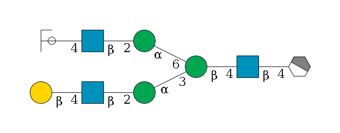 b1D-GlcNAc,p/#acleavage_1_4--4b1D-GlcNAc,p--4b1D-Man,p(--3a1D-Man,p--2b1D-GlcNAc,p--4b1D-Gal,p)--6a1D-Man,p--2b1D-GlcNAc,p--4b1D-Gal,p/#ycleavage$MONO,Und,-2H,0,redEnd