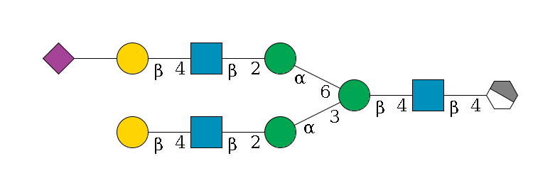b1D-GlcNAc,p/#acleavage_1_4--4b1D-GlcNAc,p--4b1D-Man,p(--3a1D-Man,p--2b1D-GlcNAc,p--4b1D-Gal,p)--6a1D-Man,p--2b1D-GlcNAc,p--4b1D-Gal,p--??2D-NeuAc,p$MONO,Und,-2H,0,redEnd