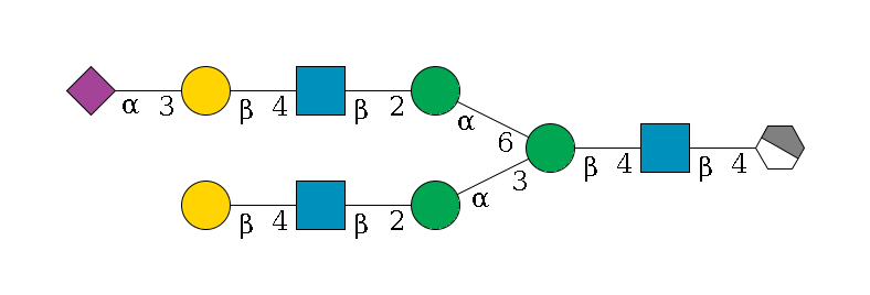 b1D-GlcNAc,p/#acleavage_1_4--4b1D-GlcNAc,p--4b1D-Man,p(--3a1D-Man,p--2b1D-GlcNAc,p--4b1D-Gal,p)--6a1D-Man,p--2b1D-GlcNAc,p--4b1D-Gal,p--3a2D-NeuAc,p$MONO,Und,-2H,0,redEnd