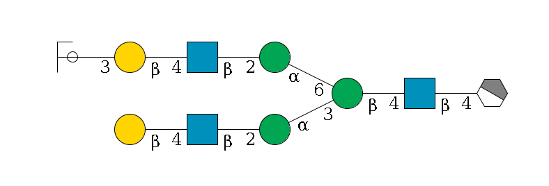 b1D-GlcNAc,p/#acleavage_1_4--4b1D-GlcNAc,p--4b1D-Man,p(--3a1D-Man,p--2b1D-GlcNAc,p--4b1D-Gal,p)--6a1D-Man,p--2b1D-GlcNAc,p--4b1D-Gal,p--3a2D-NeuAc,p/#ycleavage$MONO,Und,-2H,0,redEnd