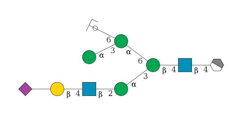 b1D-GlcNAc,p/#acleavage_1_4--4b1D-GlcNAc,p--4b1D-Man,p(--3a1D-Man,p--2b1D-GlcNAc,p--4b1D-Gal,p--??2D-NeuAc,p)--6a1D-Man,p(--3a1D-Man,p)--6a1D-Man,p/#ycleavage$MONO,Und,-2H,0,redEnd