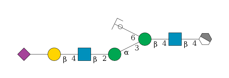 b1D-GlcNAc,p/#acleavage_1_4--4b1D-GlcNAc,p--4b1D-Man,p(--3a1D-Man,p--2b1D-GlcNAc,p--4b1D-Gal,p--??2D-NeuAc,p)--6a1D-Man,p/#ycleavage$MONO,Und,-2H,0,redEnd