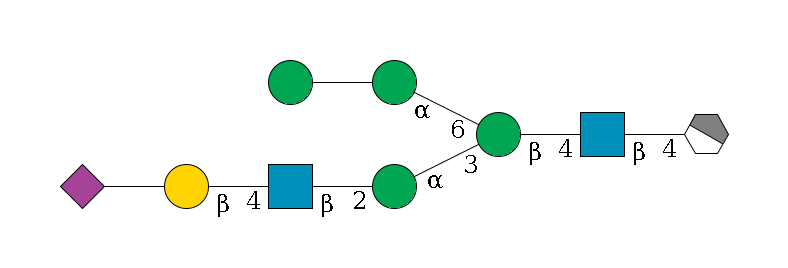 b1D-GlcNAc,p/#acleavage_1_4--4b1D-GlcNAc,p--4b1D-Man,p(--3a1D-Man,p--2b1D-GlcNAc,p--4b1D-Gal,p--??2D-NeuAc,p)--6a1D-Man,p--??1D-Man,p$MONO,Und,-2H,0,redEnd