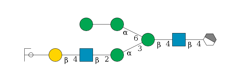 b1D-GlcNAc,p/#acleavage_1_4--4b1D-GlcNAc,p--4b1D-Man,p(--3a1D-Man,p--2b1D-GlcNAc,p--4b1D-Gal,p--??2D-NeuAc,p/#ycleavage)--6a1D-Man,p--??1D-Man,p$MONO,Und,-2H,0,redEnd