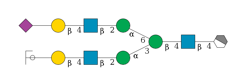 b1D-GlcNAc,p/#acleavage_1_4--4b1D-GlcNAc,p--4b1D-Man,p(--3a1D-Man,p--2b1D-GlcNAc,p--4b1D-Gal,p--??2D-NeuAc,p/#ycleavage)--6a1D-Man,p--2b1D-GlcNAc,p--4b1D-Gal,p--??2D-NeuAc,p$MONO,Und,-2H,0,redEnd