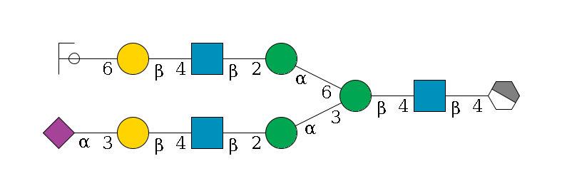 b1D-GlcNAc,p/#acleavage_1_4--4b1D-GlcNAc,p--4b1D-Man,p(--3a1D-Man,p--2b1D-GlcNAc,p--4b1D-Gal,p--3a2D-NeuAc,p)--6a1D-Man,p--2b1D-GlcNAc,p--4b1D-Gal,p--6a2D-NeuAc,p/#ycleavage$MONO,Und,-2H,0,redEnd
