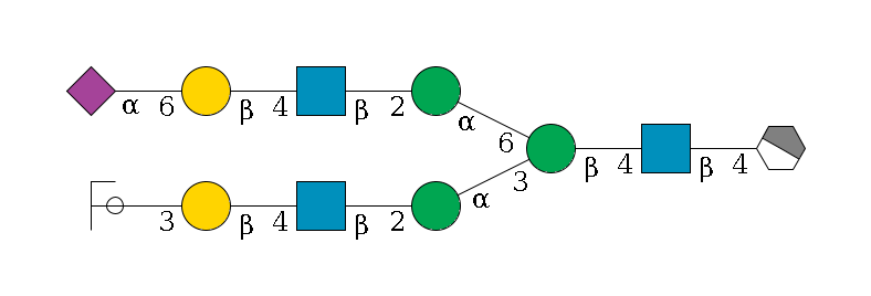 b1D-GlcNAc,p/#acleavage_1_4--4b1D-GlcNAc,p--4b1D-Man,p(--3a1D-Man,p--2b1D-GlcNAc,p--4b1D-Gal,p--3a2D-NeuAc,p/#ycleavage)--6a1D-Man,p--2b1D-GlcNAc,p--4b1D-Gal,p--6a2D-NeuAc,p$MONO,Und,-2H,0,redEnd