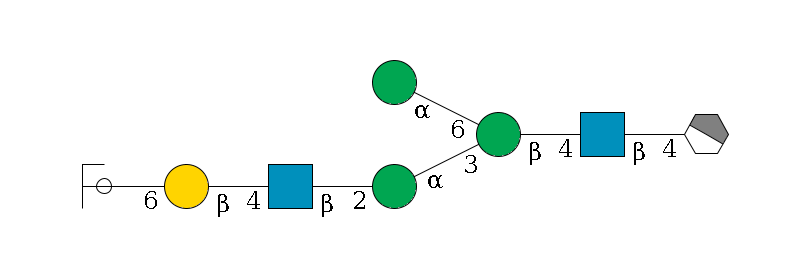 b1D-GlcNAc,p/#acleavage_1_4--4b1D-GlcNAc,p--4b1D-Man,p(--3a1D-Man,p--2b1D-GlcNAc,p--4b1D-Gal,p--6a2D-NeuAc,p/#ycleavage)--6a1D-Man,p$MONO,Und,-2H,0,redEnd
