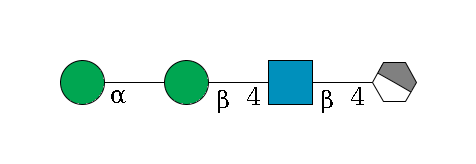 b1D-GlcNAc,p/#acleavage_1_4--4b1D-GlcNAc,p--4b1D-Man,p--?a1D-Man,p$MONO,Und,-H,0,redEnd