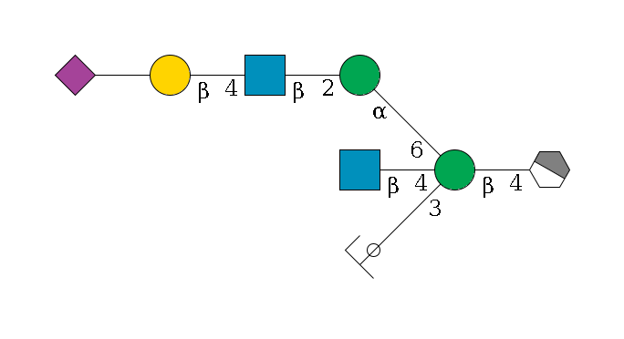 b1D-GlcNAc,p/#acleavage_1_4--4b1D-Man,p((--3a1D-Man,p/#ycleavage)--4b1D-GlcNAc,p)--6a1D-Man,p--2b1D-GlcNAc,p--4b1D-Gal,p--??2D-NeuAc,p$MONO,Und,-2H,0,redEnd