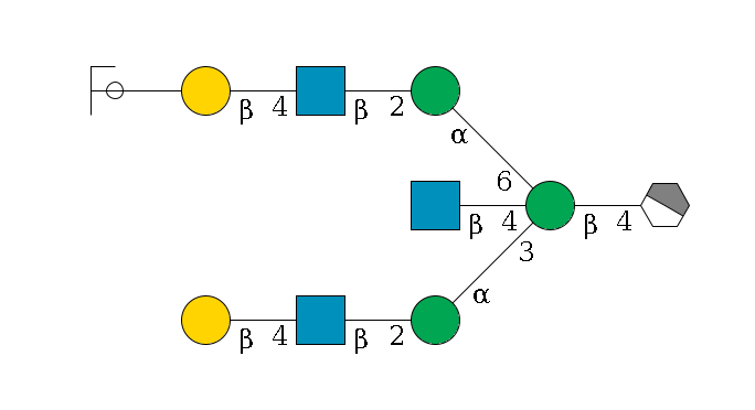 b1D-GlcNAc,p/#acleavage_1_4--4b1D-Man,p((--3a1D-Man,p--2b1D-GlcNAc,p--4b1D-Gal,p)--4b1D-GlcNAc,p)--6a1D-Man,p--2b1D-GlcNAc,p--4b1D-Gal,p--??2D-NeuAc,p/#ycleavage$MONO,Und,-2H,0,redEnd