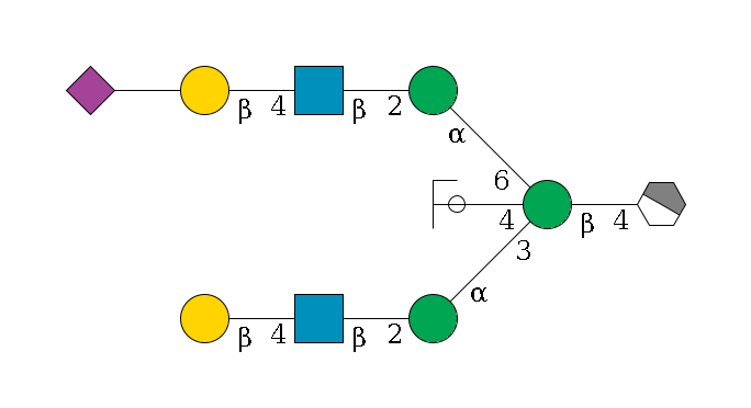 b1D-GlcNAc,p/#acleavage_1_4--4b1D-Man,p((--3a1D-Man,p--2b1D-GlcNAc,p--4b1D-Gal,p)--4b1D-GlcNAc,p/#ycleavage)--6a1D-Man,p--2b1D-GlcNAc,p--4b1D-Gal,p--??2D-NeuAc,p$MONO,Und,-2H,0,redEnd