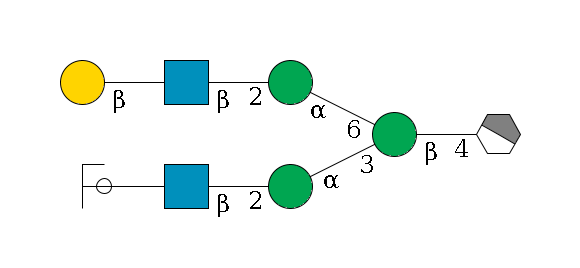 b1D-GlcNAc,p/#acleavage_1_4--4b1D-Man,p(--3a1D-Man,p--2b1D-GlcNAc,p--?b1D-Gal,p/#ycleavage)--6a1D-Man,p--2b1D-GlcNAc,p--?b1D-Gal,p$MONO,Und,-H,0,redEnd