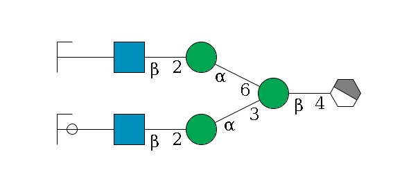 b1D-GlcNAc,p/#acleavage_1_4--4b1D-Man,p(--3a1D-Man,p--2b1D-GlcNAc,p--?b1D-Gal,p/#ycleavage)--6a1D-Man,p--2b1D-GlcNAc,p--?b1D-Gal,p/#zcleavage$MONO,Und,-H,0,redEnd