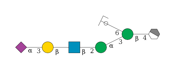 b1D-GlcNAc,p/#acleavage_1_4--4b1D-Man,p(--3a1D-Man,p--2b1D-GlcNAc,p--?b1D-Gal,p--3a2D-NeuAc,p)--6a1D-Man,p/#ycleavage$MONO,Und,-2H,0,redEnd