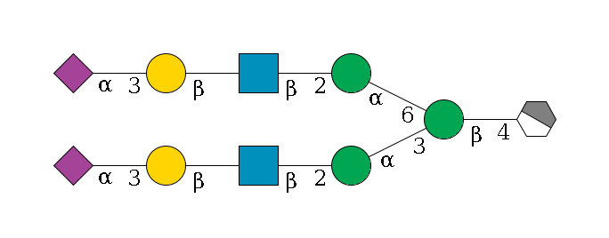 b1D-GlcNAc,p/#acleavage_1_4--4b1D-Man,p(--3a1D-Man,p--2b1D-GlcNAc,p--?b1D-Gal,p--3a2D-NeuAc,p)--6a1D-Man,p--2b1D-GlcNAc,p--?b1D-Gal,p--3a2D-NeuAc,p$MONO,Und,-2H,0,redEnd
