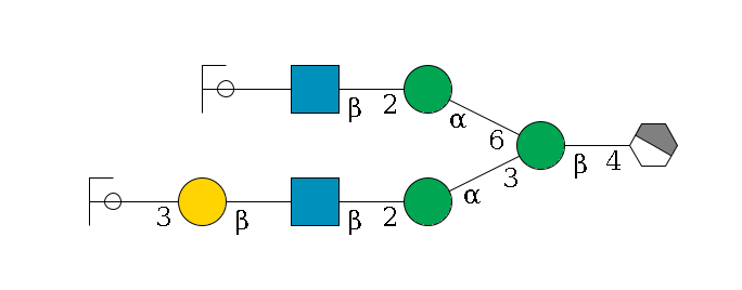 b1D-GlcNAc,p/#acleavage_1_4--4b1D-Man,p(--3a1D-Man,p--2b1D-GlcNAc,p--?b1D-Gal,p--3a2D-NeuAc,p/#ycleavage)--6a1D-Man,p--2b1D-GlcNAc,p--?b1D-Gal,p/#ycleavage$MONO,Und,-H,0,redEnd
