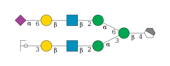 b1D-GlcNAc,p/#acleavage_1_4--4b1D-Man,p(--3a1D-Man,p--2b1D-GlcNAc,p--?b1D-Gal,p--3a2D-NeuAc,p/#ycleavage)--6a1D-Man,p--2b1D-GlcNAc,p--?b1D-Gal,p--6a2D-NeuAc,p$MONO,Und,-2H,0,redEnd