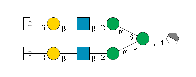b1D-GlcNAc,p/#acleavage_1_4--4b1D-Man,p(--3a1D-Man,p--2b1D-GlcNAc,p--?b1D-Gal,p--3a2D-NeuAc,p/#ycleavage)--6a1D-Man,p--2b1D-GlcNAc,p--?b1D-Gal,p--6a2D-NeuAc,p/#ycleavage$MONO,Und,-2H,0,redEnd