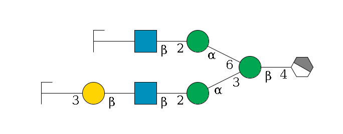 b1D-GlcNAc,p/#acleavage_1_4--4b1D-Man,p(--3a1D-Man,p--2b1D-GlcNAc,p--?b1D-Gal,p--3a2D-NeuAc,p/#zcleavage)--6a1D-Man,p--2b1D-GlcNAc,p--?b1D-Gal,p/#zcleavage$MONO,Und,-2H,0,redEnd