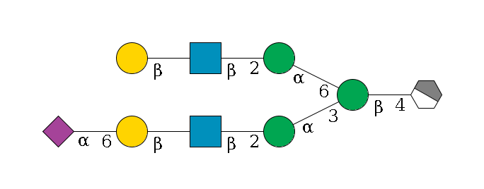 b1D-GlcNAc,p/#acleavage_1_4--4b1D-Man,p(--3a1D-Man,p--2b1D-GlcNAc,p--?b1D-Gal,p--6a2D-NeuAc,p)--6a1D-Man,p--2b1D-GlcNAc,p--?b1D-Gal,p$MONO,Und,-2H,0,redEnd