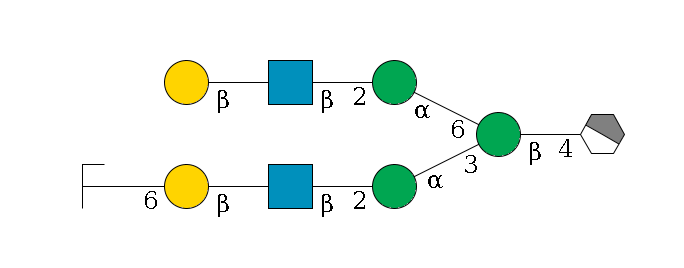 b1D-GlcNAc,p/#acleavage_1_4--4b1D-Man,p(--3a1D-Man,p--2b1D-GlcNAc,p--?b1D-Gal,p--6a2D-NeuAc,p/#zcleavage)--6a1D-Man,p--2b1D-GlcNAc,p--?b1D-Gal,p$MONO,Und,-H,0,redEnd