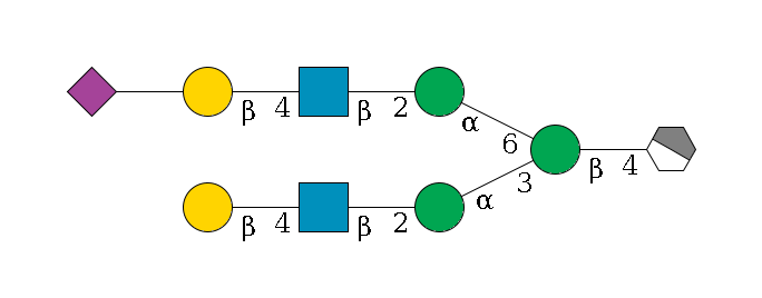 b1D-GlcNAc,p/#acleavage_1_4--4b1D-Man,p(--3a1D-Man,p--2b1D-GlcNAc,p--4b1D-Gal,p)--6a1D-Man,p--2b1D-GlcNAc,p--4b1D-Gal,p--??2D-NeuAc,p$MONO,Und,-2H,0,redEnd