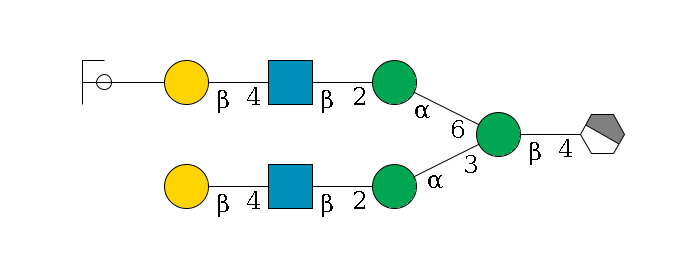 b1D-GlcNAc,p/#acleavage_1_4--4b1D-Man,p(--3a1D-Man,p--2b1D-GlcNAc,p--4b1D-Gal,p)--6a1D-Man,p--2b1D-GlcNAc,p--4b1D-Gal,p--??2D-NeuAc,p/#ycleavage$MONO,Und,-2H,0,redEnd