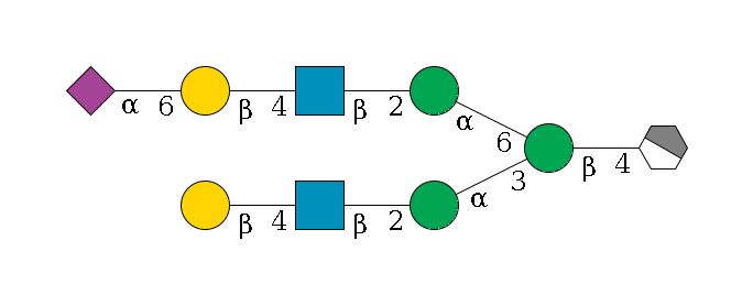 b1D-GlcNAc,p/#acleavage_1_4--4b1D-Man,p(--3a1D-Man,p--2b1D-GlcNAc,p--4b1D-Gal,p)--6a1D-Man,p--2b1D-GlcNAc,p--4b1D-Gal,p--6a2D-NeuAc,p$MONO,Und,-2H,0,redEnd