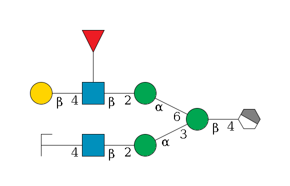 b1D-GlcNAc,p/#acleavage_1_4--4b1D-Man,p(--3a1D-Man,p--2b1D-GlcNAc,p--4b1D-Gal,p/#zcleavage)--6a1D-Man,p--2b1D-GlcNAc,p(--4b1D-Gal,p)--??1L-Fuc,p$MONO,Und,-2H,0,redEnd