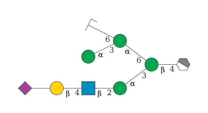 b1D-GlcNAc,p/#acleavage_1_4--4b1D-Man,p(--3a1D-Man,p--2b1D-GlcNAc,p--4b1D-Gal,p--??2D-NeuAc,p)--6a1D-Man,p(--3a1D-Man,p)--6a1D-Man,p/#zcleavage$MONO,Und,-2H,0,redEnd