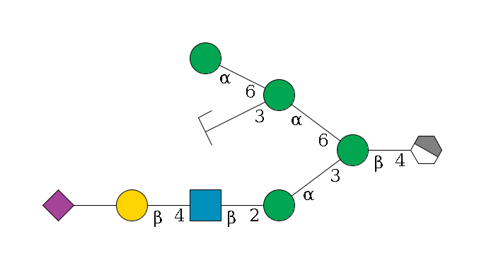 b1D-GlcNAc,p/#acleavage_1_4--4b1D-Man,p(--3a1D-Man,p--2b1D-GlcNAc,p--4b1D-Gal,p--??2D-NeuAc,p)--6a1D-Man,p(--3a1D-Man,p/#zcleavage)--6a1D-Man,p$MONO,Und,-2H,0,redEnd