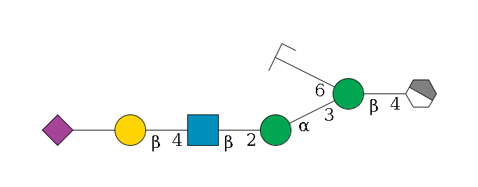 b1D-GlcNAc,p/#acleavage_1_4--4b1D-Man,p(--3a1D-Man,p--2b1D-GlcNAc,p--4b1D-Gal,p--??2D-NeuAc,p)--6a1D-Man,p/#zcleavage$MONO,Und,-2H,0,redEnd