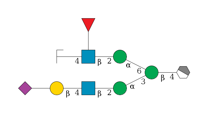 b1D-GlcNAc,p/#acleavage_1_4--4b1D-Man,p(--3a1D-Man,p--2b1D-GlcNAc,p--4b1D-Gal,p--??2D-NeuAc,p)--6a1D-Man,p--2b1D-GlcNAc,p(--4b1D-Gal,p/#zcleavage)--??1L-Fuc,p$MONO,Und,-2H,0,redEnd