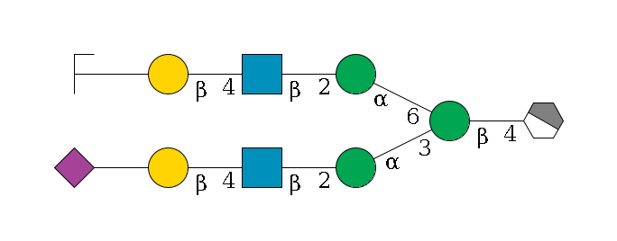 b1D-GlcNAc,p/#acleavage_1_4--4b1D-Man,p(--3a1D-Man,p--2b1D-GlcNAc,p--4b1D-Gal,p--??2D-NeuAc,p)--6a1D-Man,p--2b1D-GlcNAc,p--4b1D-Gal,p--??2D-NeuAc,p/#zcleavage$MONO,Und,-H,0,redEnd