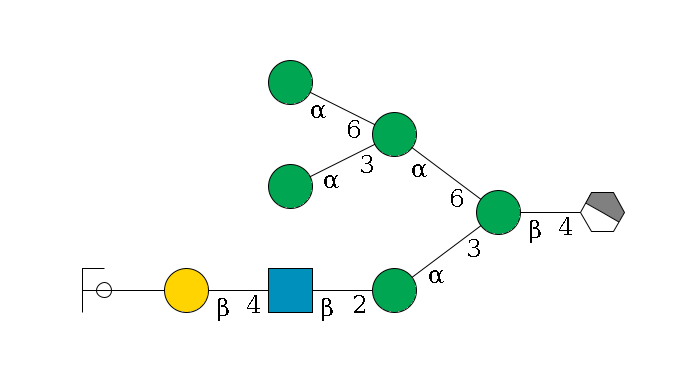 b1D-GlcNAc,p/#acleavage_1_4--4b1D-Man,p(--3a1D-Man,p--2b1D-GlcNAc,p--4b1D-Gal,p--??2D-NeuAc,p/#ycleavage)--6a1D-Man,p(--3a1D-Man,p)--6a1D-Man,p$MONO,Und,-2H,0,redEnd