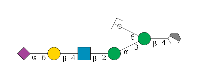 b1D-GlcNAc,p/#acleavage_1_4--4b1D-Man,p(--3a1D-Man,p--2b1D-GlcNAc,p--4b1D-Gal,p--6a2D-NeuAc,p)--6a1D-Man,p/#ycleavage$MONO,Und,-2H,0,redEnd