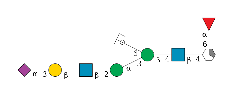 b1D-GlcNAc,p/#acleavage_1_5(--4b1D-GlcNAc,p--4b1D-Man,p(--3a1D-Man,p--2b1D-GlcNAc,p--?b1D-Gal,p--3a2D-NeuAc,p)--6a1D-Man,p/#ycleavage)--6a1L-Fuc,p$MONO,Und,-2H,0,redEnd