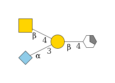 b1D-GlcNAc,p/#acleavage_1_5--4b1D-Gal,p(--3a2D-NeuGc,p)--4b1D-GalNAc,p$MONO,Und,-H,0,redEnd