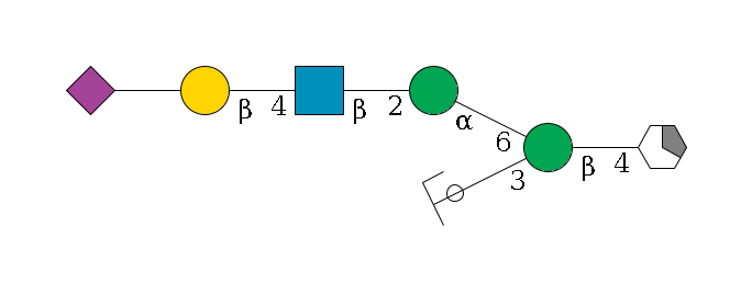 b1D-GlcNAc,p/#acleavage_1_5--4b1D-Man,p(--3a1D-Man,p/#ycleavage)--6a1D-Man,p--2b1D-GlcNAc,p--4b1D-Gal,p--??2D-NeuAc,p$MONO,Und,-H,0,redEnd