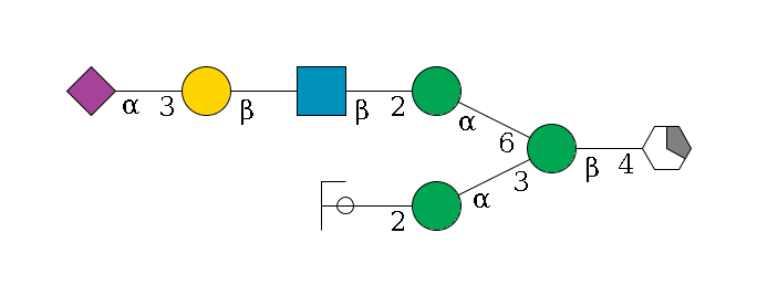 b1D-GlcNAc,p/#acleavage_1_5--4b1D-Man,p(--3a1D-Man,p--2b1D-GlcNAc,p/#ycleavage)--6a1D-Man,p--2b1D-GlcNAc,p--?b1D-Gal,p--3a2D-NeuAc,p$MONO,Und,-2H,0,redEnd