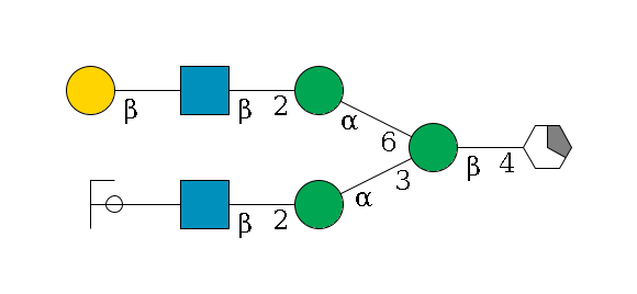b1D-GlcNAc,p/#acleavage_1_5--4b1D-Man,p(--3a1D-Man,p--2b1D-GlcNAc,p--?b1D-Gal,p/#ycleavage)--6a1D-Man,p--2b1D-GlcNAc,p--?b1D-Gal,p$MONO,Und,-2H,0,redEnd