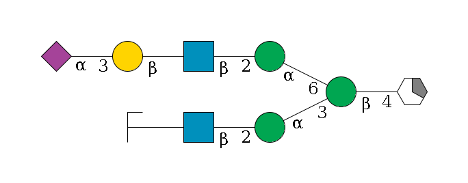 b1D-GlcNAc,p/#acleavage_1_5--4b1D-Man,p(--3a1D-Man,p--2b1D-GlcNAc,p--?b1D-Gal,p/#zcleavage)--6a1D-Man,p--2b1D-GlcNAc,p--?b1D-Gal,p--3a2D-NeuAc,p$MONO,Und,-2H,0,redEnd