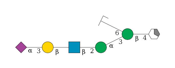b1D-GlcNAc,p/#acleavage_1_5--4b1D-Man,p(--3a1D-Man,p--2b1D-GlcNAc,p--?b1D-Gal,p--3a2D-NeuAc,p)--6a1D-Man,p/#zcleavage$MONO,Und,-2H,0,redEnd