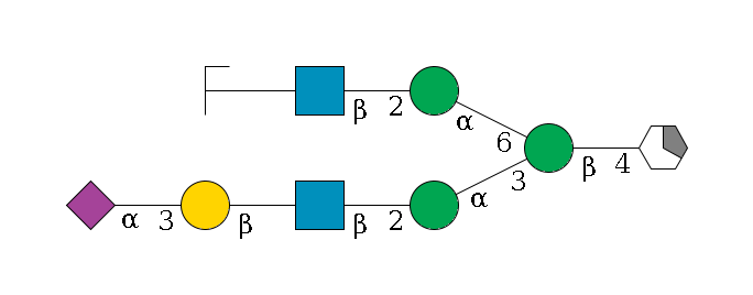 b1D-GlcNAc,p/#acleavage_1_5--4b1D-Man,p(--3a1D-Man,p--2b1D-GlcNAc,p--?b1D-Gal,p--3a2D-NeuAc,p)--6a1D-Man,p--2b1D-GlcNAc,p--?b1D-Gal,p/#zcleavage$MONO,Und,-2H,0,redEnd